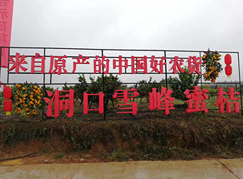 雪峰蜜桔原产地