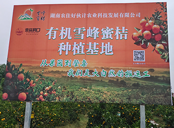 雪峰蜜桔种植基地